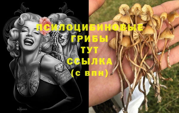 ГАЛЛЮЦИНОГЕННЫЕ ГРИБЫ Бронницы